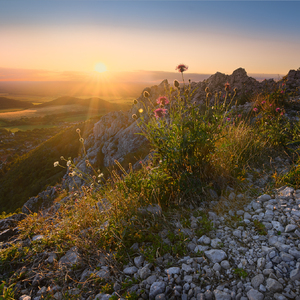 Kršlenica