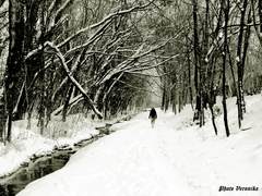 Zimná prechádzka