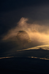 Prebúdzanie na grúni