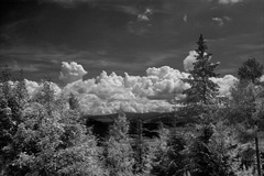 Krajina