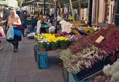 Tržnica