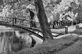 Lavička