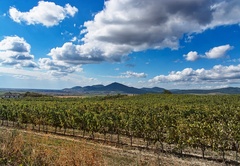 Tokaj