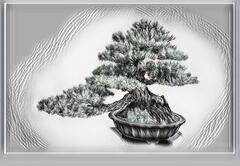 Bonsai