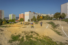 Areál
