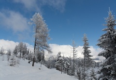 Zima v tatrách