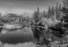 Nové Pleso