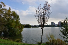 Jazero Košice