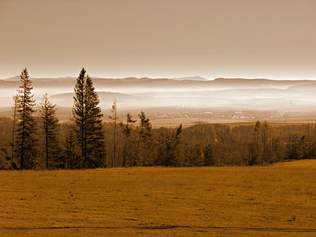 Ranná hmla
