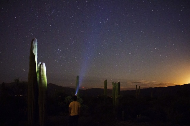 Night sky with Saguaro