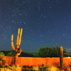 Hello Saguaro