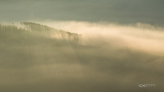 ...  svetlo a hmla ...