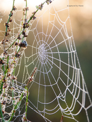 ... v spojení II ...