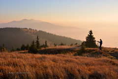 ... photographer ...