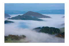 ... za ránky II ...