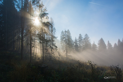 ... hra svetla a  hmly ...