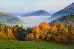 ... októbrové rána ...