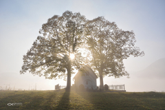 ... lúče nadeje ...