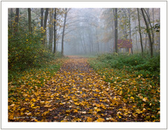 pocity októbrového rána III