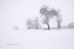 ... keď, tak poriadne