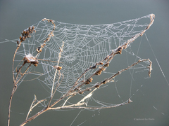 ... v spojení III ...