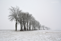 ... zimné línie ...