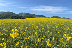 ... obrázky jari ...