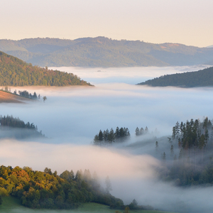 ... zaliate svetlom a hmlou ...