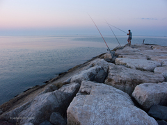 ... morning catcher ...