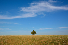 ... miesto pokoja II ...