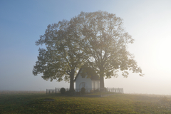 ... na hrane svetla a hmly ...