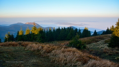 ... prvé lúče a hmla ...