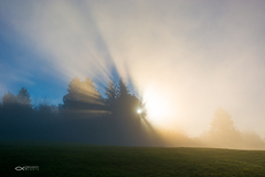 ... hra svetla a hmly III ...