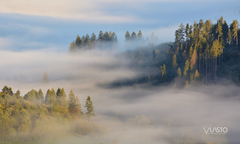 ..zaliate svetlom a hmlou II..