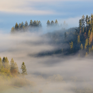 ..zaliate svetlom a hmlou II..