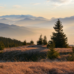 ... z Minčola II ...