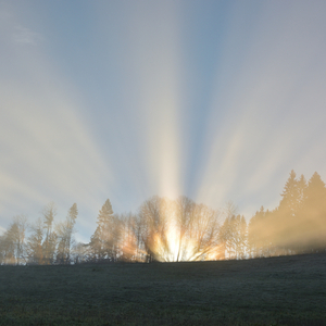 ... lúče cez hmlu ...