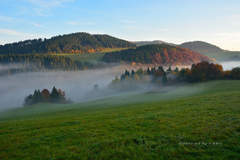 ... hmlisté rána II ...