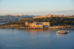 ... Maltské rána II ...