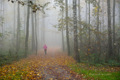 ... ranný výbeh ...