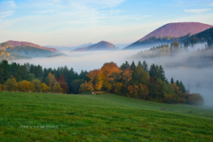 ... hmlisté rána III ...