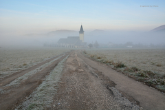 ... magickosť hmlistých rán ...