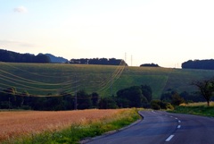 drôty