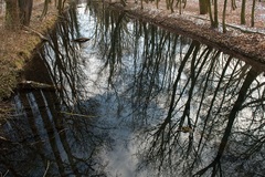 bezvetrie