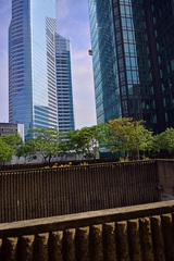 flóra a architektúra