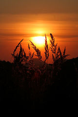 Na spánok pripravené !