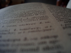 Dictionary