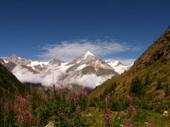 Weisshorn - 4505m
