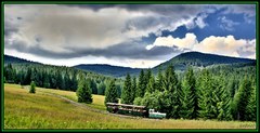 Oravská lesná železnica 2010