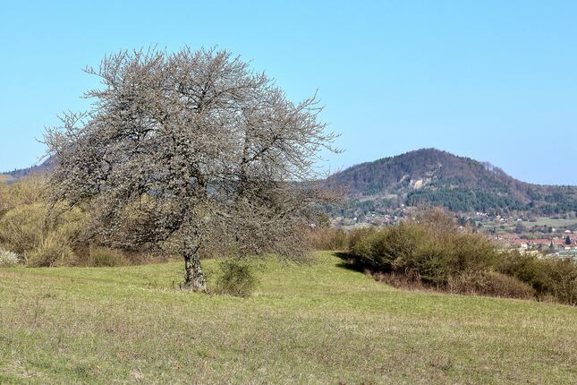 Spomienka